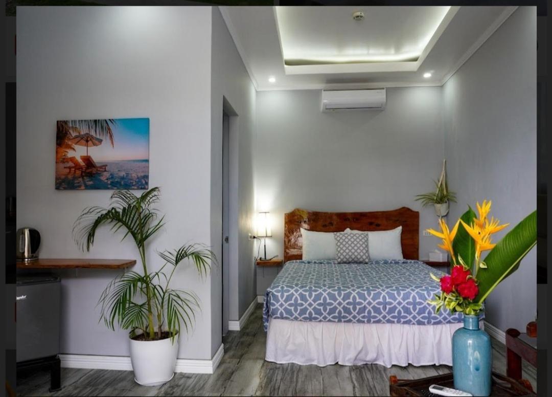 Palm View Moalboal Hotel ภายนอก รูปภาพ